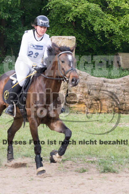 Vielseitigkeitsturnier ZRFV von Lützow Hamminkeln