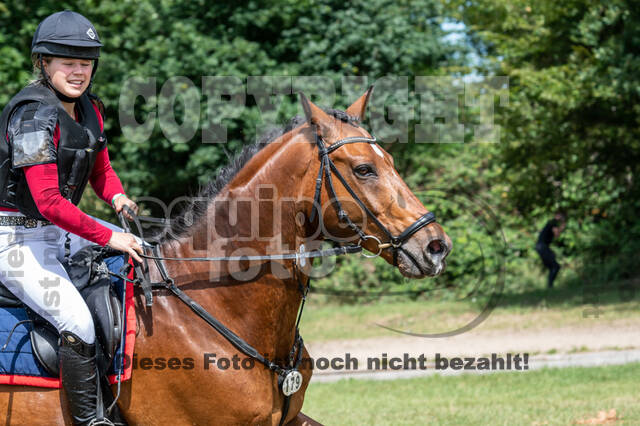 Late-Entry-Vielseitigkeit Langenfeld (11.+13./14.06.2020)