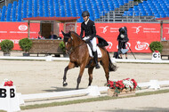 FEI European Championship Eventing 2017