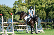 Kronenberg - De Peelbergen (August 2020)