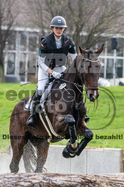 Goldene Schärpe 2020 - Pferde