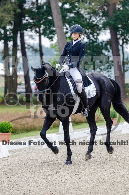 Deutsche Meisterschaft Vielseitigkeit (Luhmühlen)