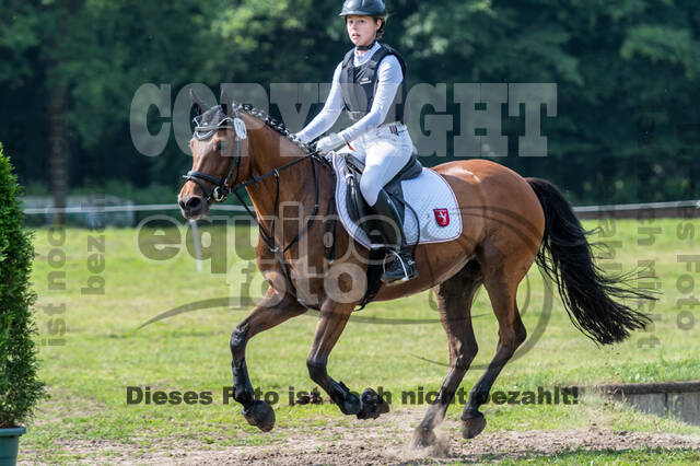 Goldene Schärpe 2021 - Ponys