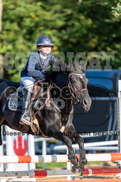 RFV Dinslaken-Hiesfeld (Herbstturnier)