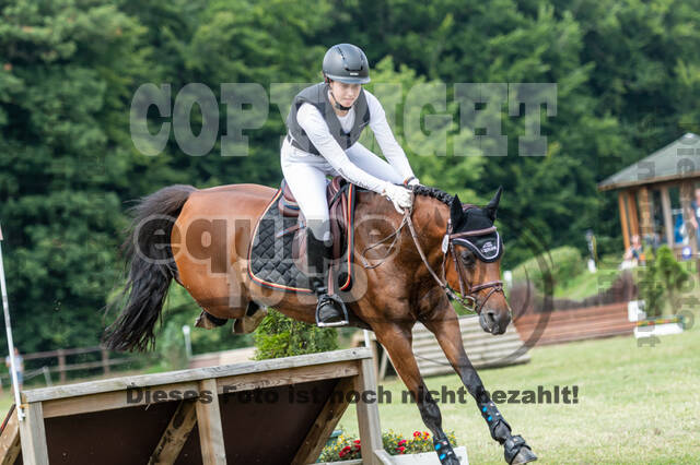 Goldene Schärpe 2021 - Ponys