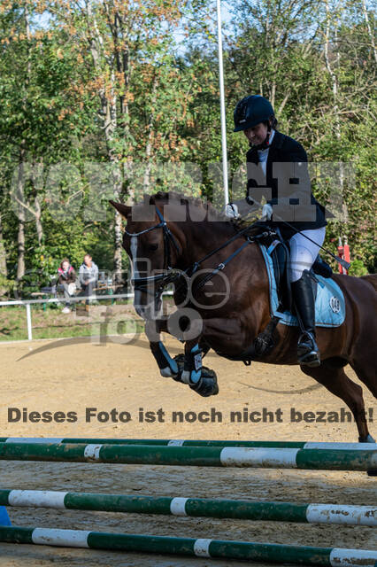RFV Dinslaken-Hiesfeld (Herbstturnier)