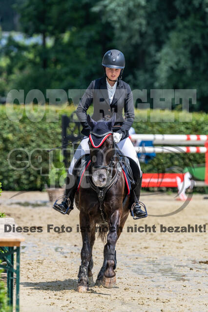 Goldene Schärpe 2021 - Ponys