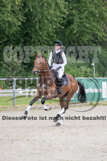 Eventing im Pferdesportzentrum Rheinland