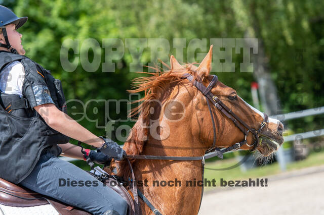 Test of Choise Langenfeld (29.+30.05.2021)