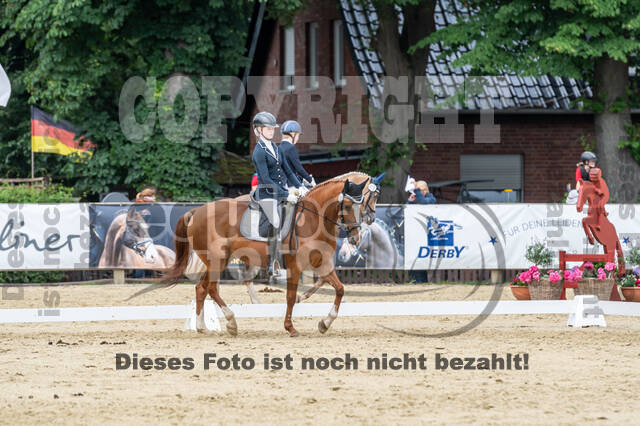 Goldene Schärpe 2021 - Ponys