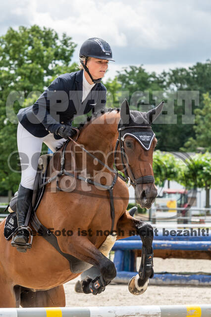 Late-Entry-Vielseitigkeit Langenfeld (06.+07.07.2020)