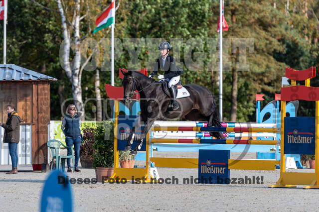Deutsche Meisterschaft Vielseitigkeit (Luhmühlen)