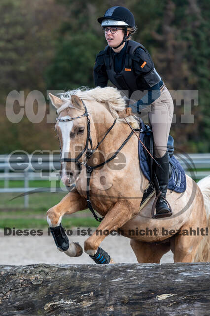 IGV Lehrgang der Sieger der Cups mit Frank Ostholt