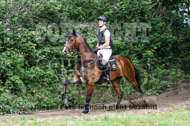 Late-Entry-Vielseitigkeit Langenfeld (11.+13./14.06.2020)