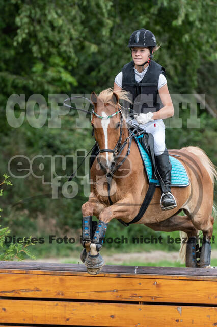 Late-Entry-Vielseitigkeit Langenfeld (06.+07.07.2020)