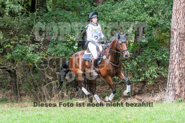 Vielseitigkeit RSV Wesel Obrighoven (26.+27.09.2020)