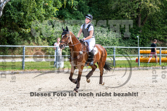 Late-Entry-Vielseitigkeit Langenfeld (11.+13./14.06.2020)