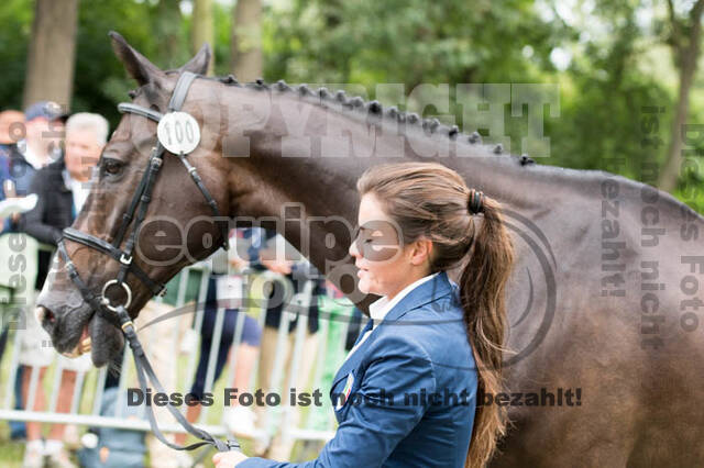 FEI European Championship