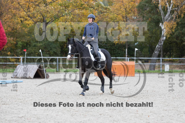 IGV Lehrgang der Sieger der Cups mit Frank Ostholt