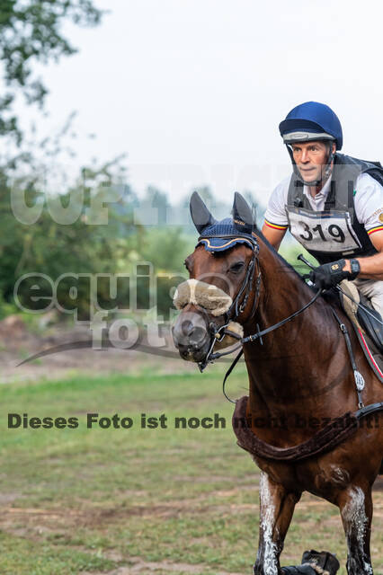 De Peelbergen (August 2020)