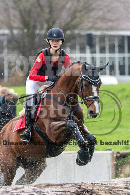 Goldene Schärpe 2020 - Pferde