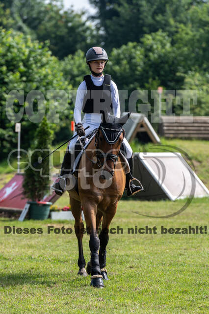 Goldene Schärpe 2021 - Ponys