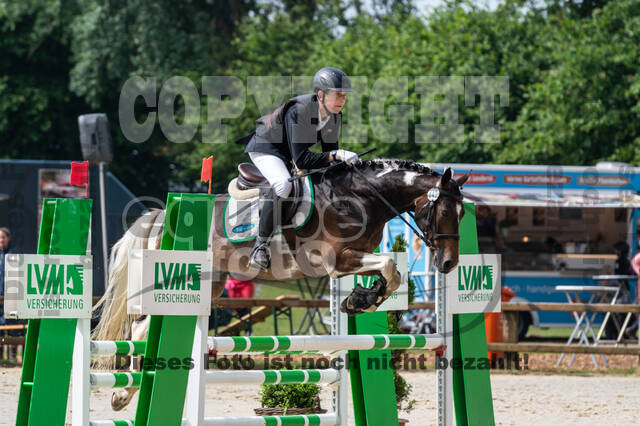 Goldene Schärpe 2021 - Ponys