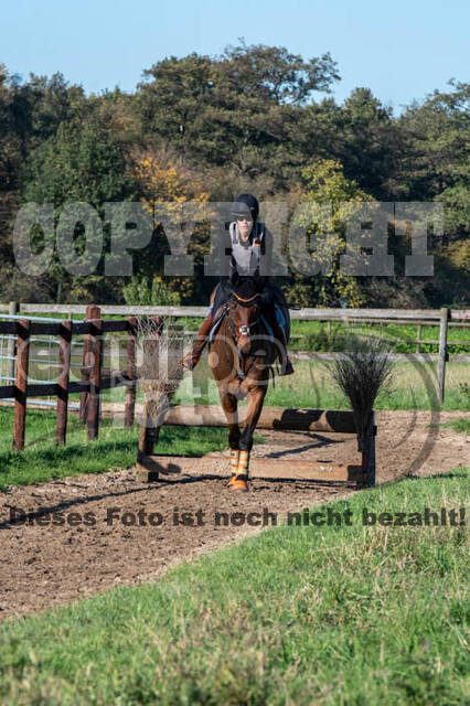Vielseitigkeitslehrgang mit Jürg Kurbel (9.+10.11.2019)