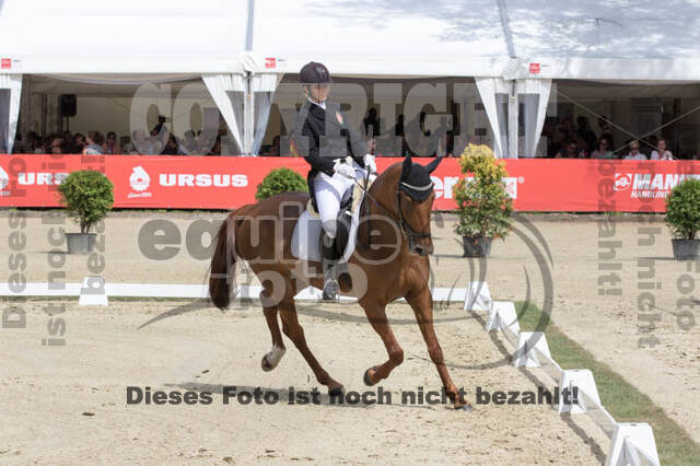 FEI European Championship Eventing 2017