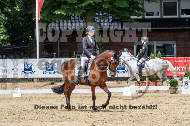Goldene Schärpe 2021 - Ponys