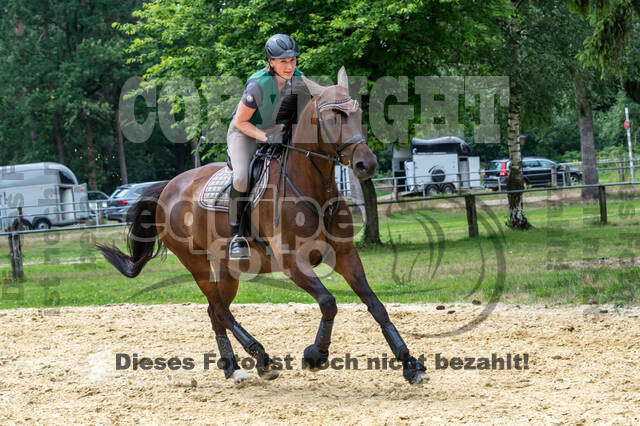 Hunter Geländetraining 10.07.2021 (Sonsbeck)