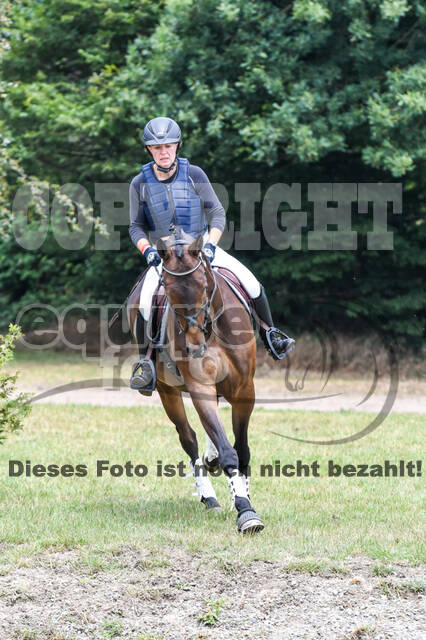 Late-Entry-Vielseitigkeit Langenfeld (11.+13./14.06.2020)