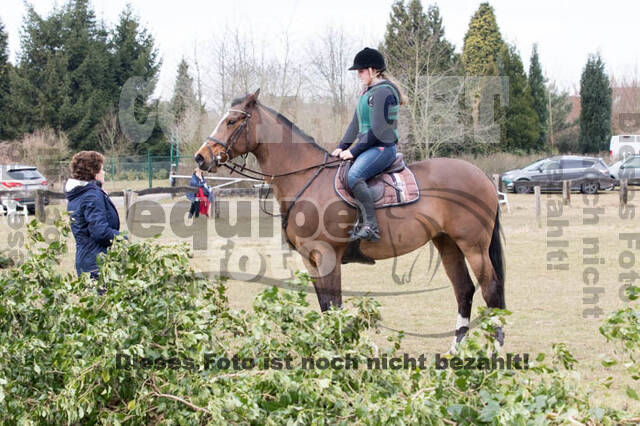 Geländetraining RSV St. Hubertus Wesel Obrighoven