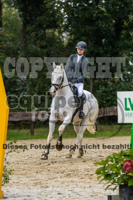 Vielseitigkeit RSV Wesel Obrighoven (26.+27.09.2020)