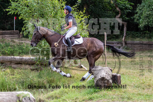Late-Entry Vielseitigkeit Hamminkeln/Wesel (01.+02.08.2020)