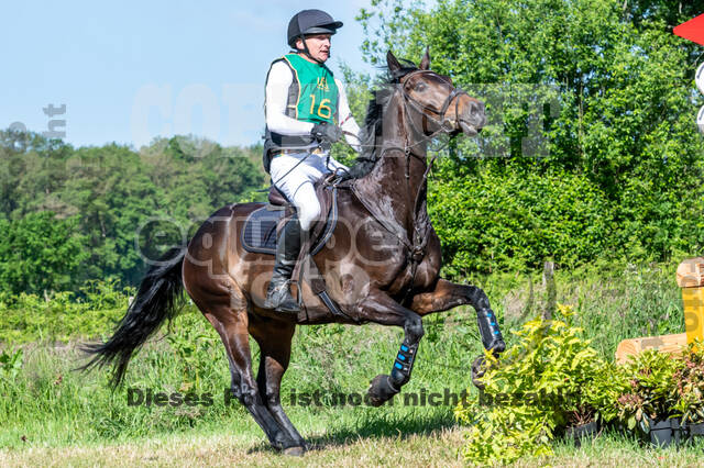 Westerstede Horse Trials (10.-13.06.2021)