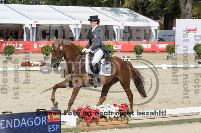 FEI European Championship Eventing 2017