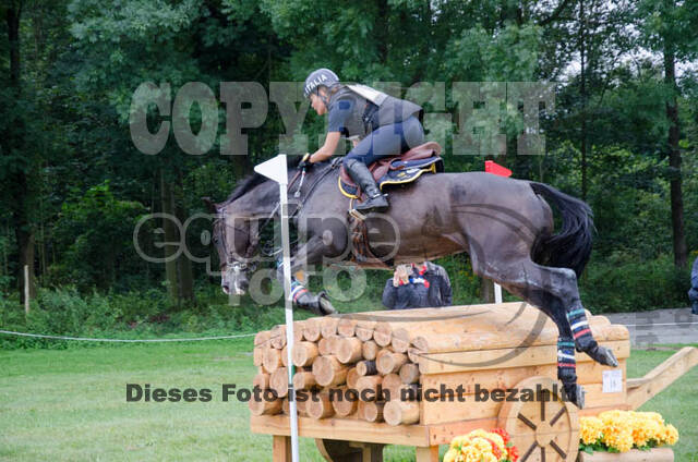 FEI European Championship