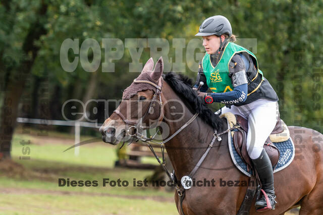 Vielseitigkeit RSV Wesel Obrighoven (26.+27.09.2020)