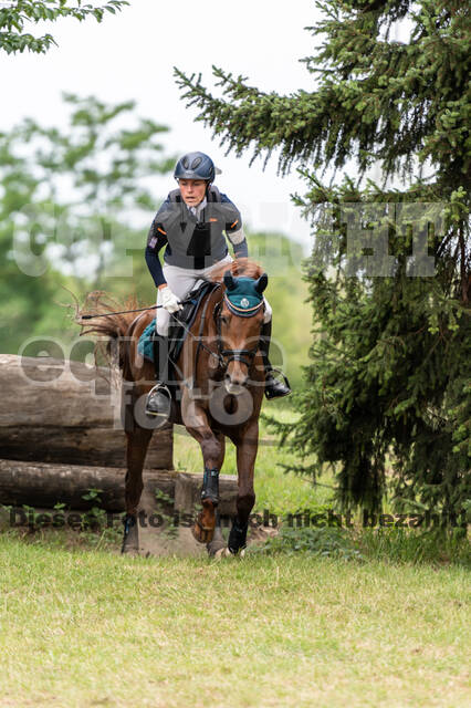 Late-Entry-Vielseitigkeit Langenfeld (11.+13./14.06.2020)