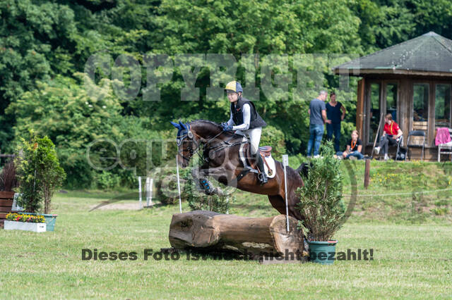 Goldene Schärpe 2021 - Ponys