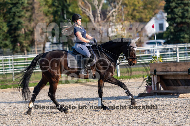 IGV Lehrgang der Sieger der Cups mit Frank Ostholt