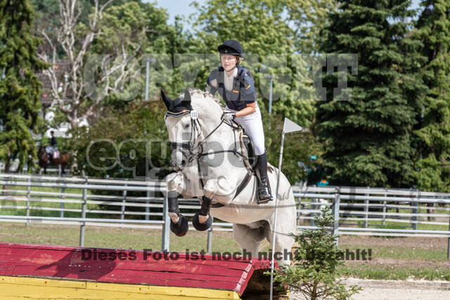 Late-Entry-Vielseitigkeit Langenfeld (06.+07.07.2020)