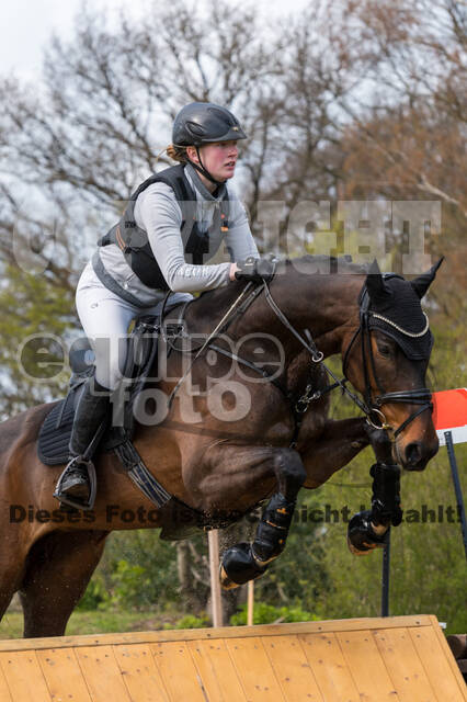 Maria Elisabeth Schulte Spechtel , Brexit S