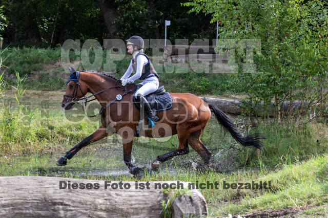 Late-Entry Vielseitigkeit Hamminkeln/Wesel (01.+02.08.2020)