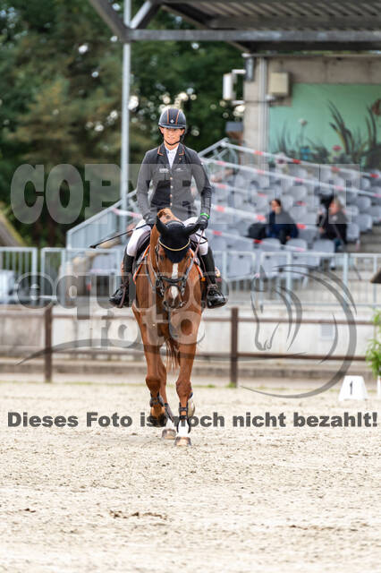 Deutsche Meisterschaft Vielseitigkeit (Luhmühlen)