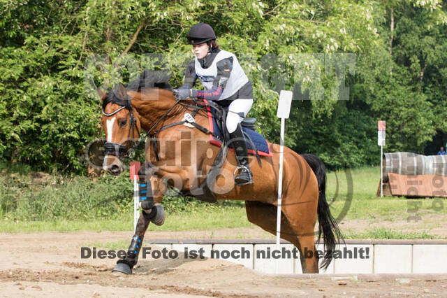 Vielseitigkeitsturnier ZRFV von Lützow Hamminkeln