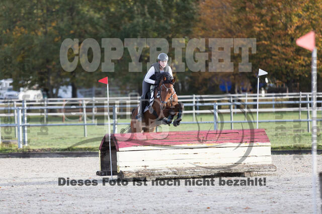 IGV Lehrgang der Sieger der Cups mit Frank Ostholt