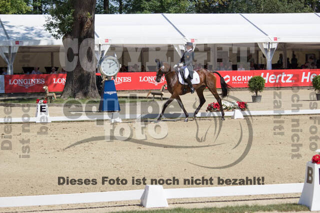 FEI European Championship Eventing 2017