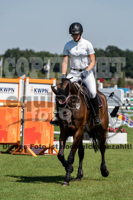 Kronenberg - De Peelbergen (August 2020)